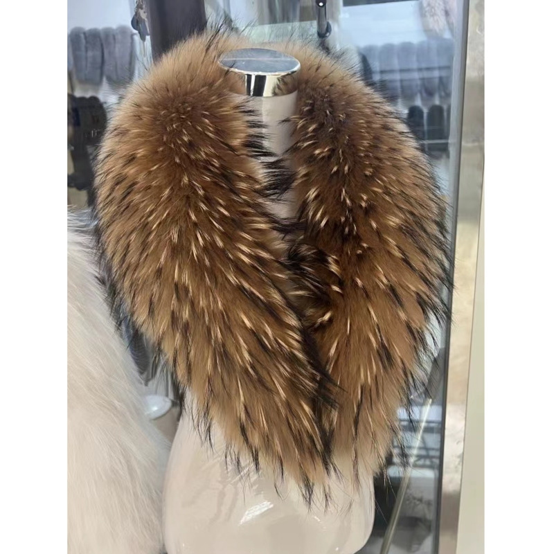 Winter Clothing Design - Raccoon Fur Collar Female Winter Fur