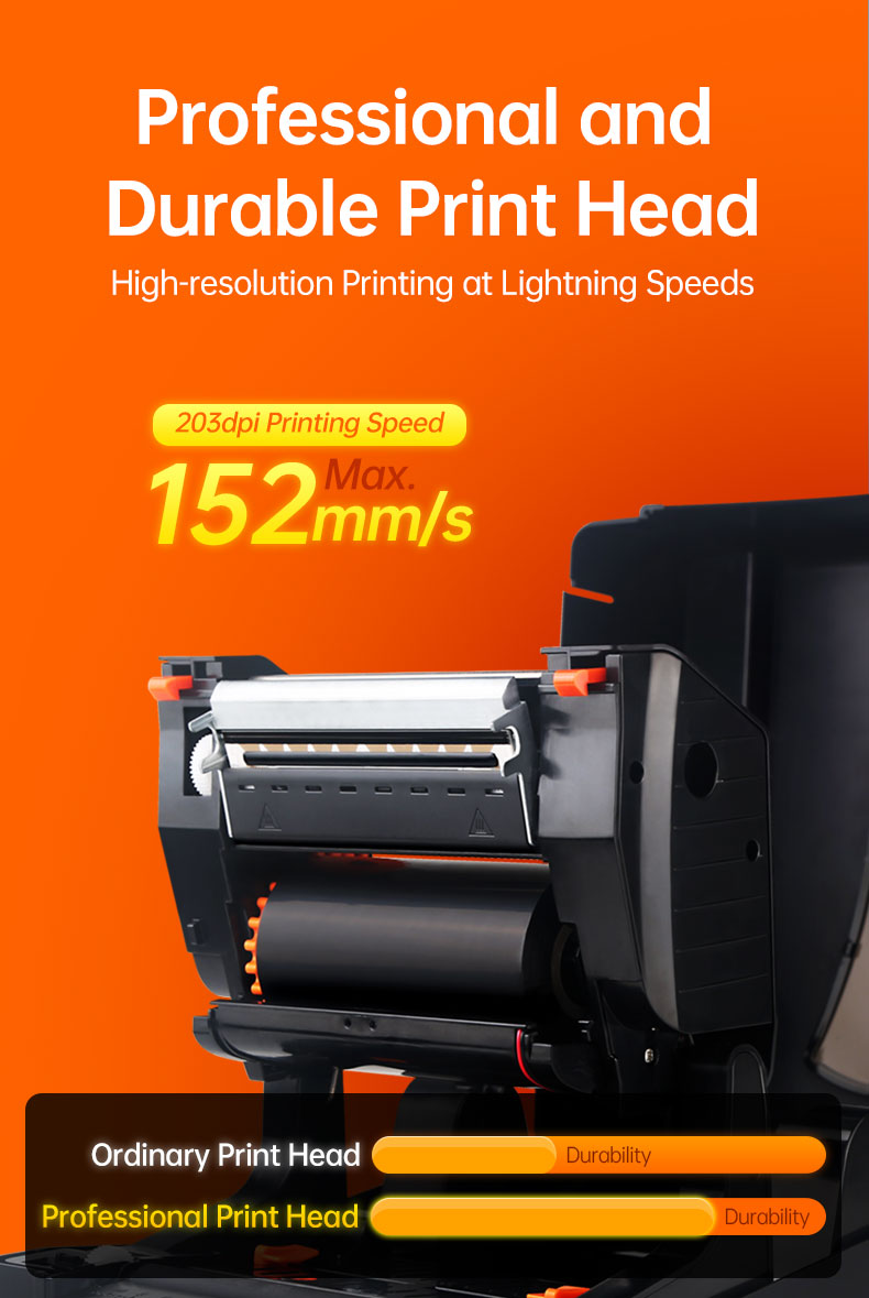 Label Printer Ribbon Machine T - مراجعة Winter Clothing Label وسعره