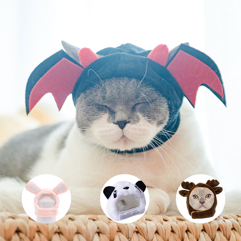 Animal Decorate Pet Cat Hat Mu - مراجعة Winter Clothing Accessories وسعره