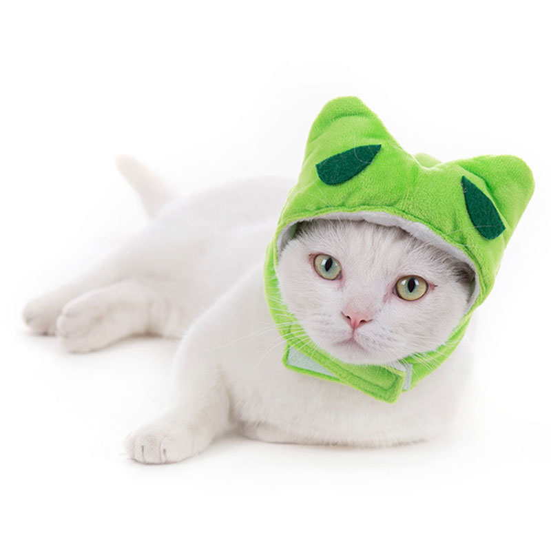 Animal Decorate Pet Cat Hat Mu - مراجعة Winter Clothing Accessories وسعره