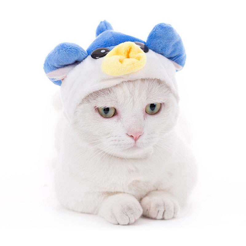Animal Decorate Pet Cat Hat Mu - مراجعة Winter Clothing Accessories وسعره